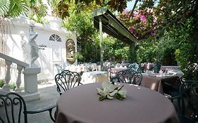 Le Magnolia